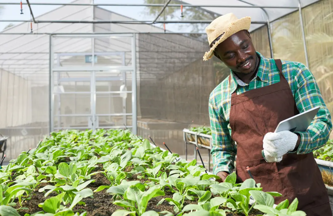 AGRI SETA (Agriculture)
